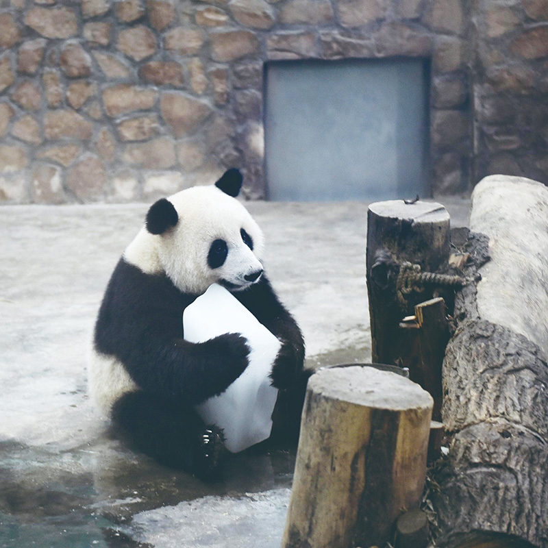 슈퍼마켓 및 소매 보관소(2)