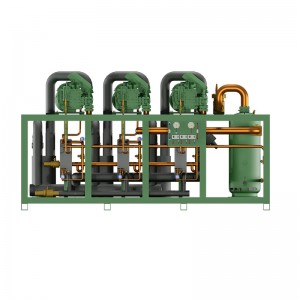 Thermojinn Schraubenkompressor Parallel-Rack-Einheit